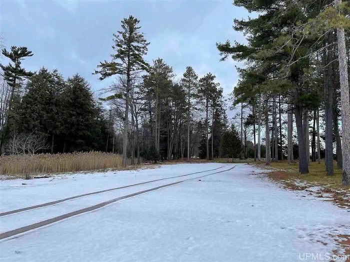 Norway Pines - Real Estate Listing (newer photo)